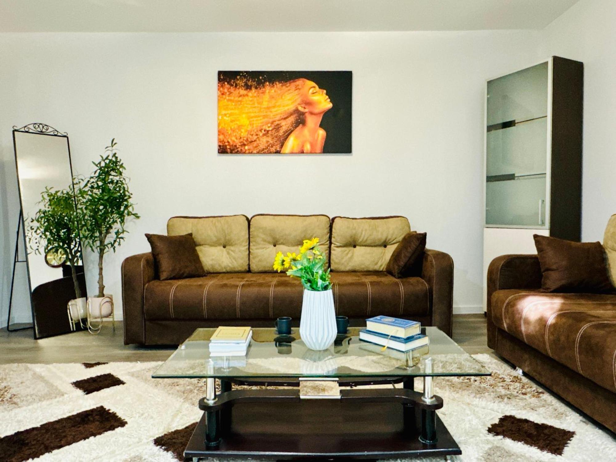 Joy Spacious Comfortable Apartment Timişoara
