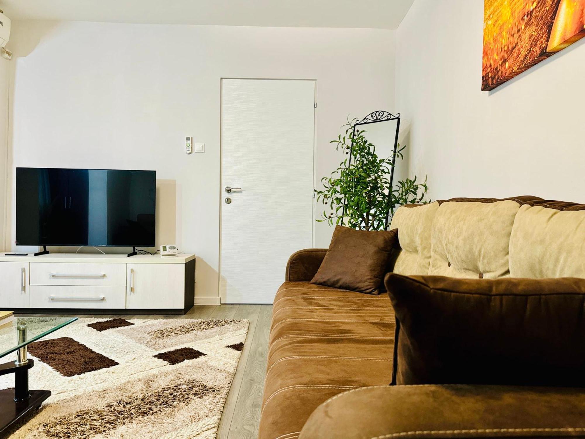 Apartment Joy Spacious Comfortable Timişoara