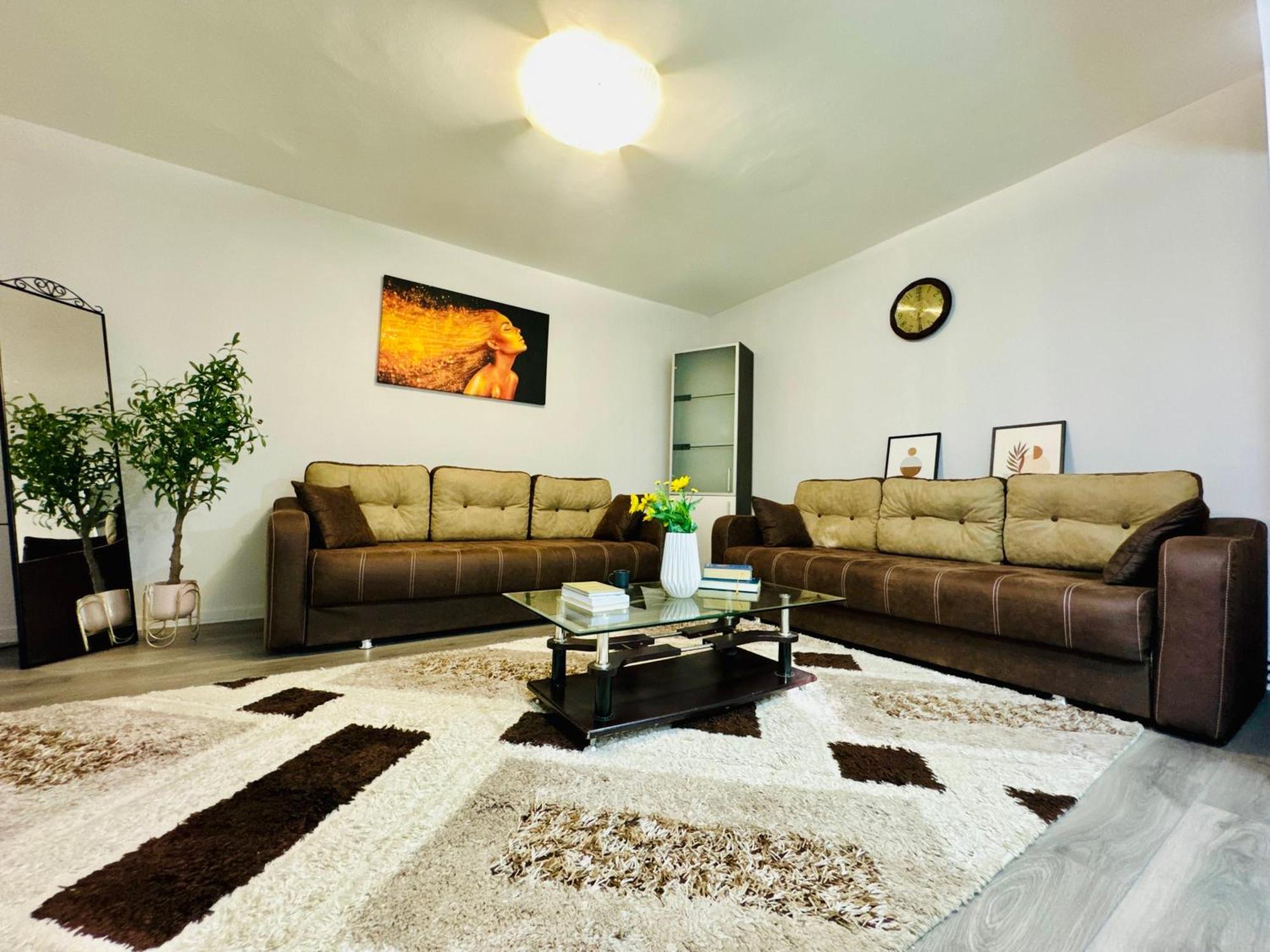 Joy Spacious Comfortable Timişoara