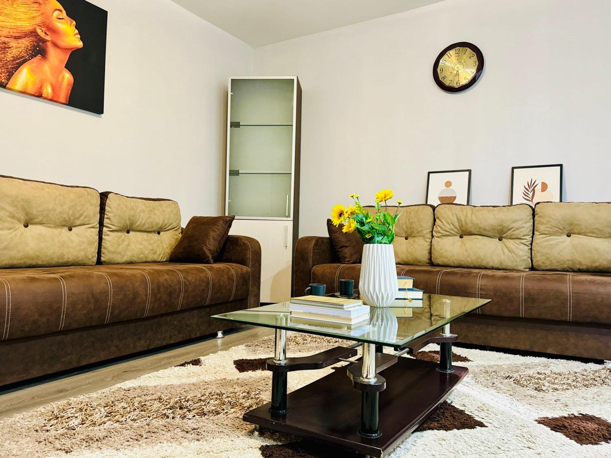 Joy Spacious Comfortable * Timişoara