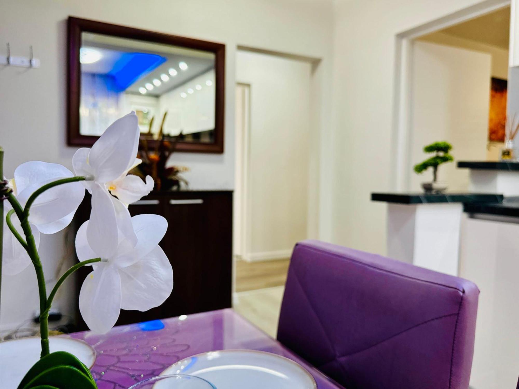 Joy Spacious Comfortable Apartment Timişoara
