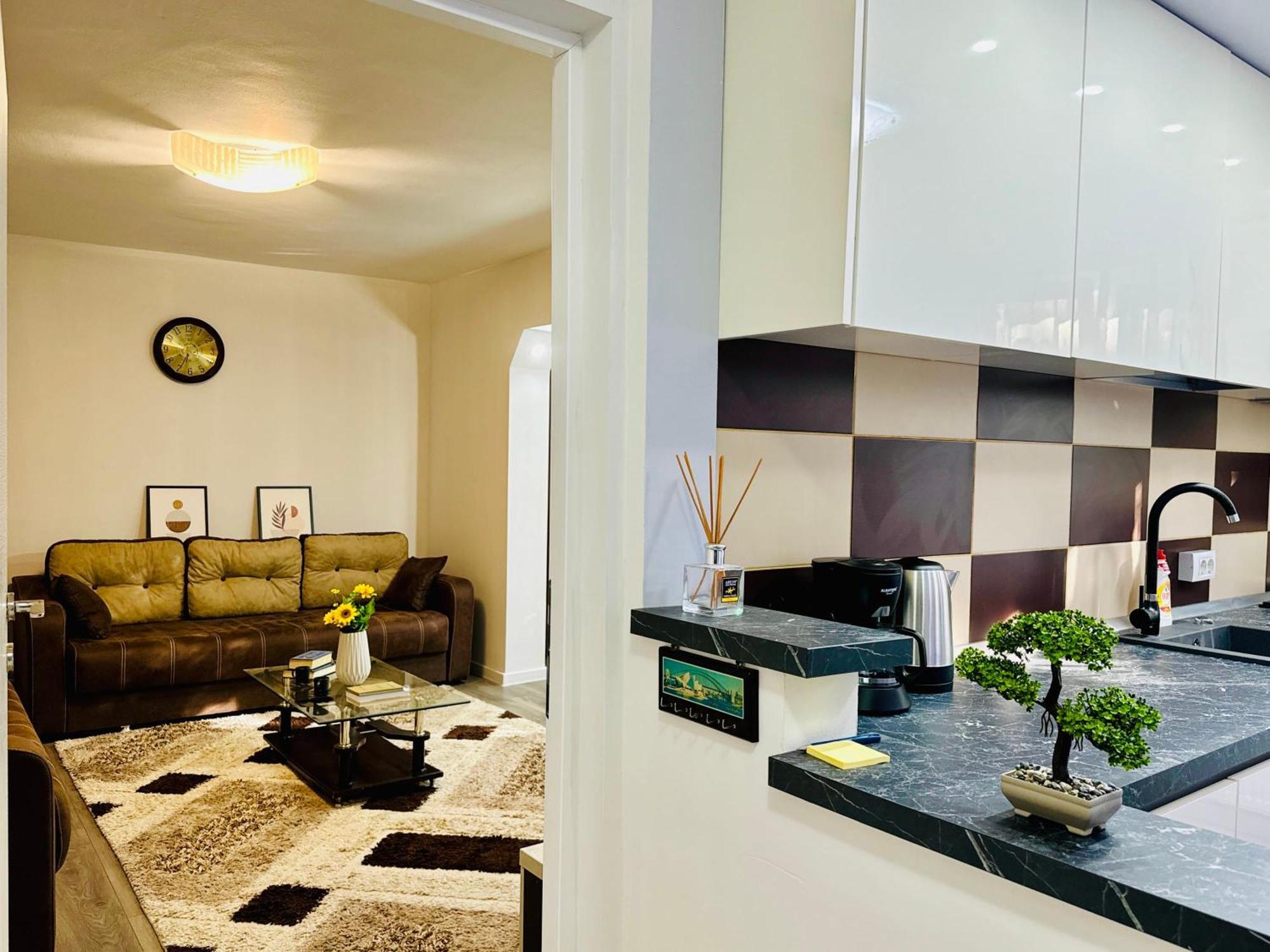 Joy Spacious Comfortable * Timisoara