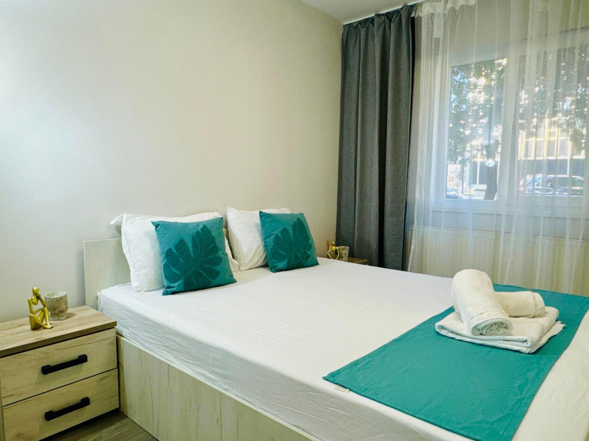 Joy Spacious Comfortable Apartment Timişoara